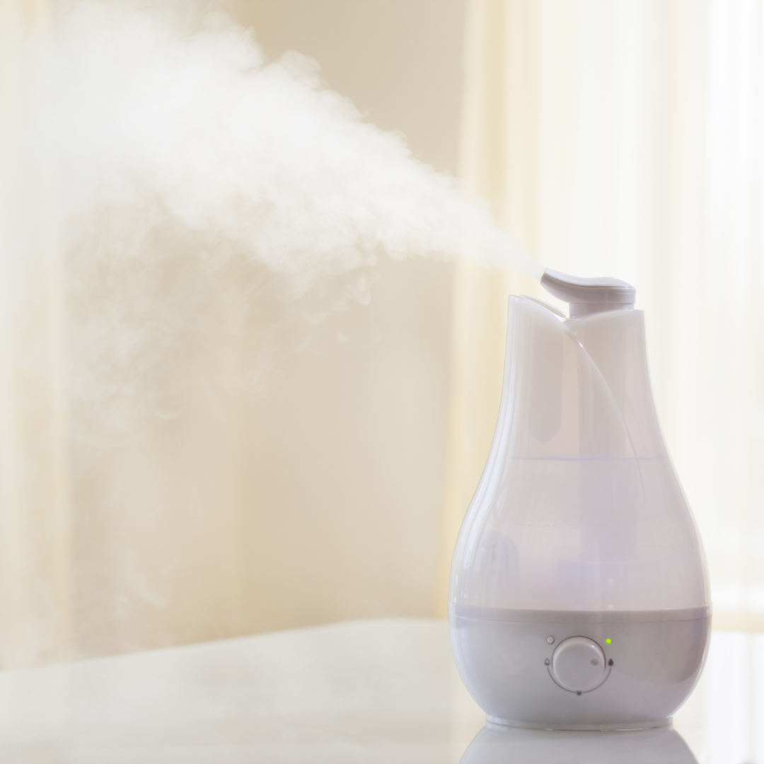 10 of the Best Humidifiers Under 100 Wanderlust Rachel